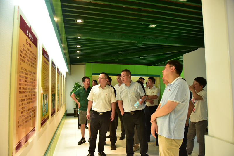 市政分公司黨總支、合肥市重點(diǎn)局直屬黨委第二黨支部聯(lián)合開(kāi)展主題黨日活動(dòng)3